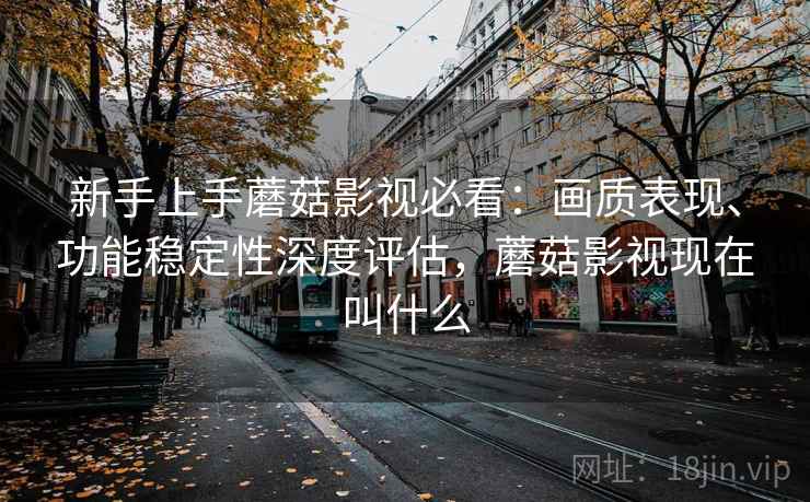 新手上手蘑菇影视必看：画质表现、功能稳定性深度评估，蘑菇影视现在叫什么