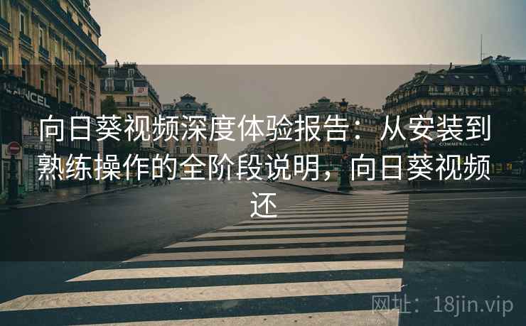 向日葵视频深度体验报告：从安装到熟练操作的全阶段说明，向日葵视频还