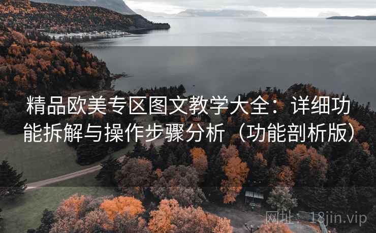 精品欧美专区图文教学大全：详细功能拆解与操作步骤分析（功能剖析版）  第2张