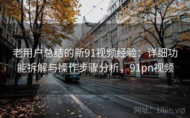 老用户总结的新91视频经验：详细功能拆解与操作步骤分析，91pn视频