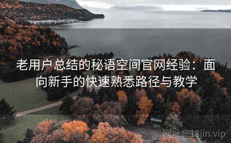 老用户总结的秘语空间官网经验：面向新手的快速熟悉路径与教学