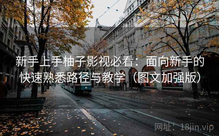 新手上手柚子影视必看：面向新手的快速熟悉路径与教学（图文加强版）