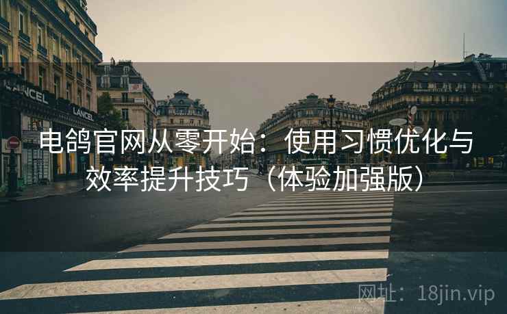 电鸽官网从零开始：使用习惯优化与效率提升技巧（体验加强版）