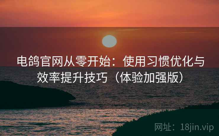 电鸽官网从零开始：使用习惯优化与效率提升技巧（体验加强版）