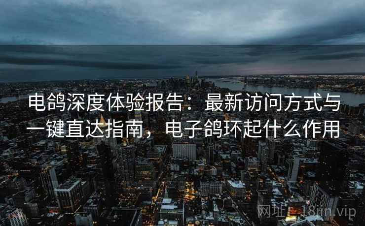 电鸽深度体验报告:最新访问方式与一键直达指南,电子鸽环起什么作用