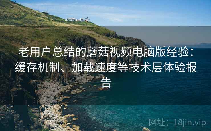 老用户总结的蘑菇视频电脑版经验:缓存机制、加载速度等技术层体验报告