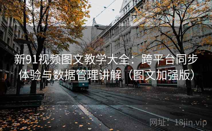 新91视频图文教学大全：跨平台同步体验与数据管理讲解（图文加强版）