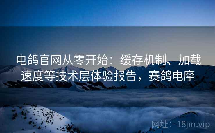 电鸽官网从零开始：缓存机制、加载速度等技术层体验报告，赛鸽电摩  第2张