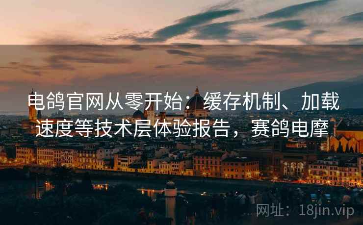 电鸽官网从零开始：缓存机制、加载速度等技术层体验报告，赛鸽电摩  第1张