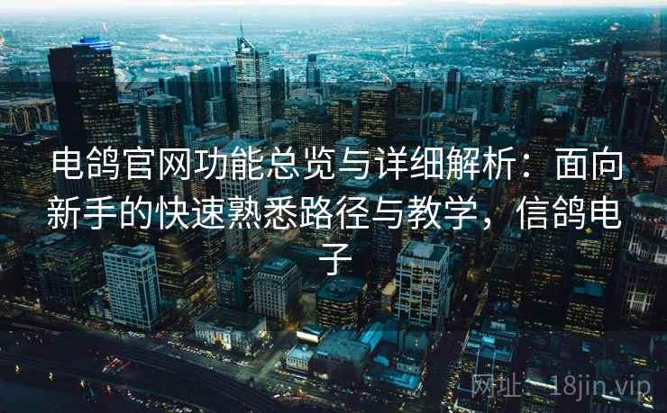 电鸽官网功能总览与详细解析：面向新手的快速熟悉路径与教学，信鸽电子  第1张