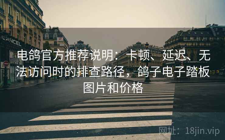 电鸽官方推荐说明：卡顿、延迟、无法访问时的排查路径，鸽子电子踏板图片和价格