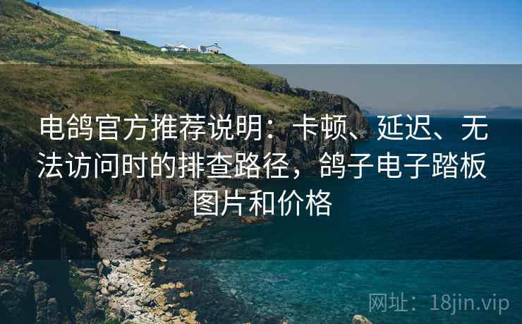 电鸽官方推荐说明：卡顿、延迟、无法访问时的排查路径，鸽子电子踏板图片和价格